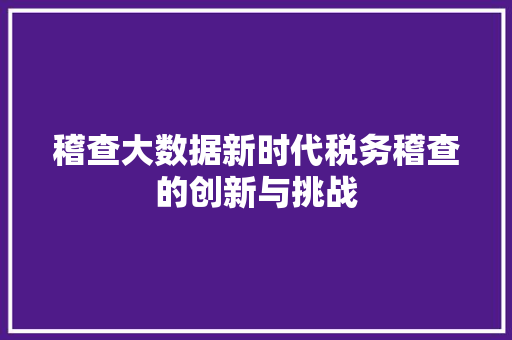 稽查大数据新时代税务稽查的创新与挑战
