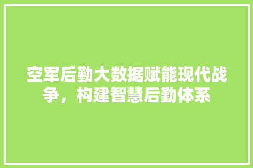 空军后勤大数据赋能现代战争，构建智慧后勤体系 友链在线