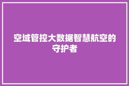 空域管控大数据智慧航空的守护者