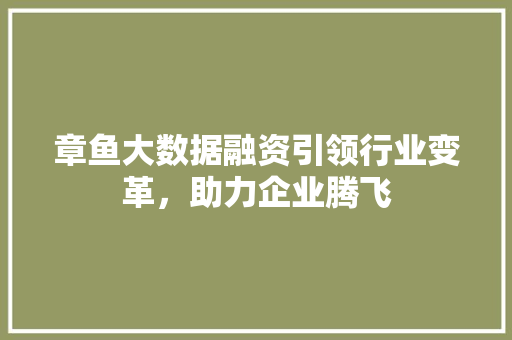 章鱼大数据融资引领行业变革，助力企业腾飞