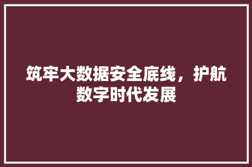 筑牢大数据安全底线，护航数字时代发展