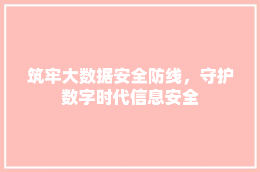 筑牢大数据安全防线，守护数字时代信息安全