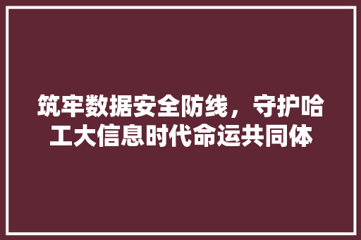 筑牢数据安全防线，守护哈工大信息时代命运共同体