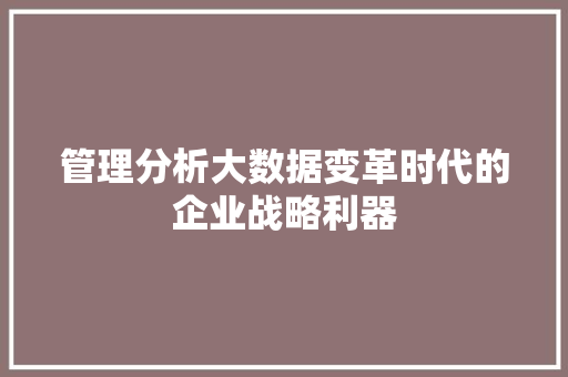 管理分析大数据变革时代的企业战略利器