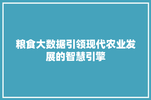 粮食大数据引领现代农业发展的智慧引擎