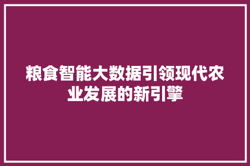 粮食智能大数据引领现代农业发展的新引擎