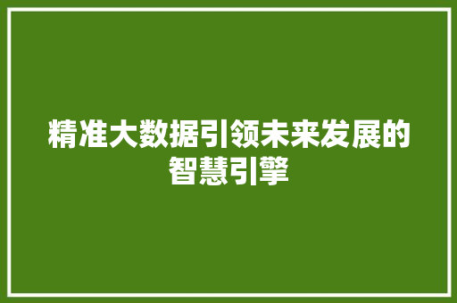 精准大数据引领未来发展的智慧引擎