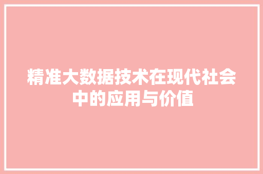 精准大数据技术在现代社会中的应用与价值