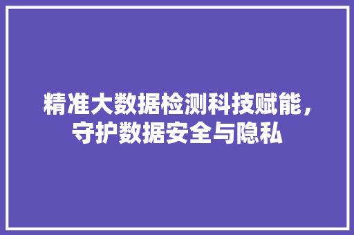 精准大数据检测科技赋能，守护数据安全与隐私