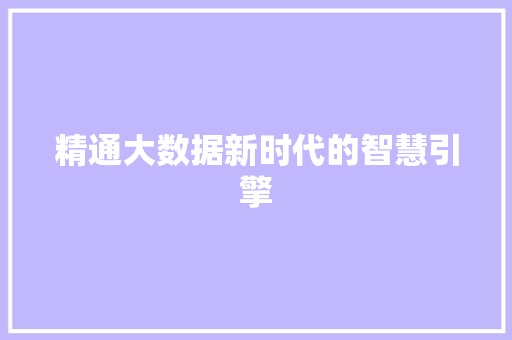 精通大数据新时代的智慧引擎 SEO教程