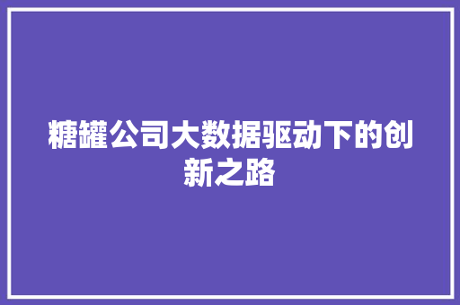 糖罐公司大数据驱动下的创新之路