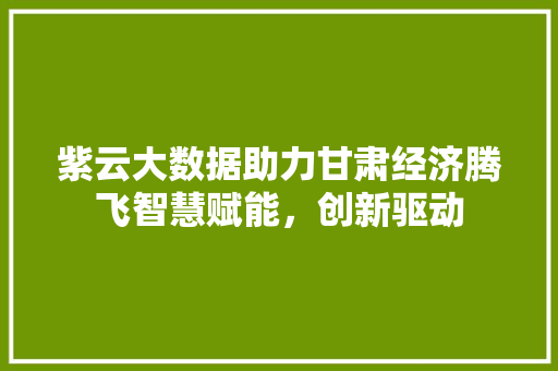 紫云大数据助力甘肃经济腾飞智慧赋能，创新驱动