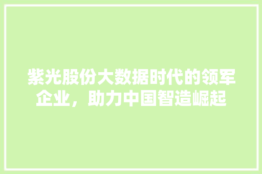 紫光股份大数据时代的领军企业，助力中国智造崛起