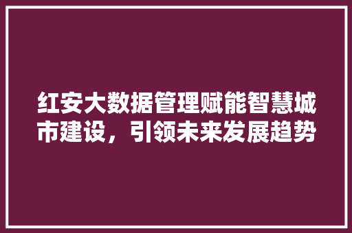 红安大数据管理赋能智慧城市建设，引领未来发展趋势