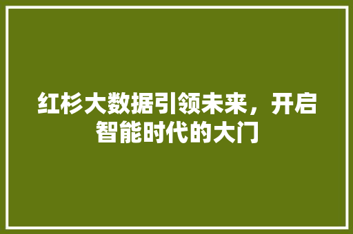 红杉大数据引领未来，开启智能时代的大门