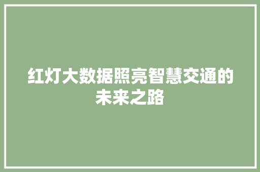 红灯大数据照亮智慧交通的未来之路
