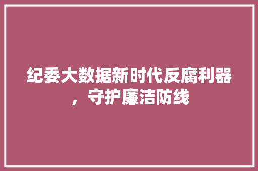 纪委大数据新时代反腐利器，守护廉洁防线