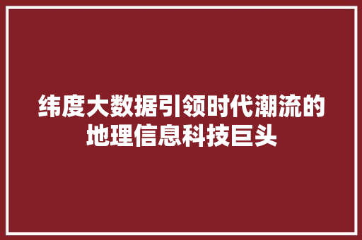 纬度大数据引领时代潮流的地理信息科技巨头