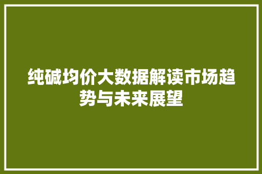 纯碱均价大数据解读市场趋势与未来展望