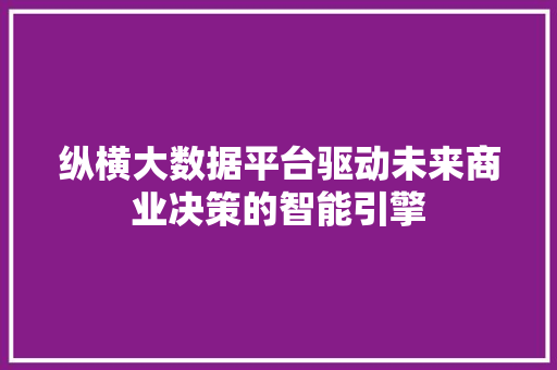 纵横大数据平台驱动未来商业决策的智能引擎