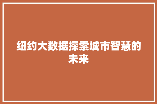 纽约大数据探索城市智慧的未来
