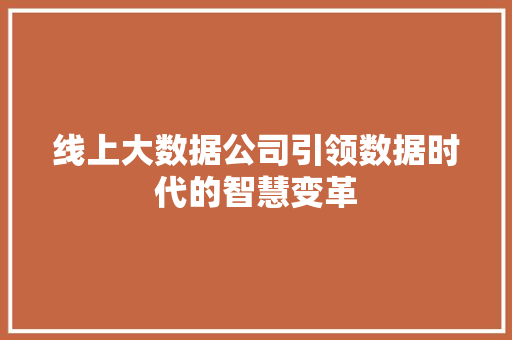 线上大数据公司引领数据时代的智慧变革