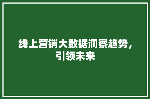 线上营销大数据洞察趋势，引领未来