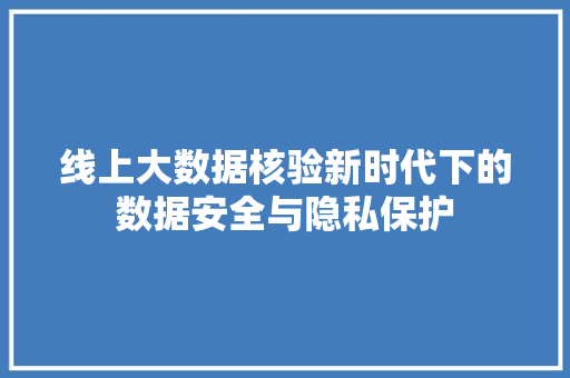 线上大数据核验新时代下的数据安全与隐私保护
