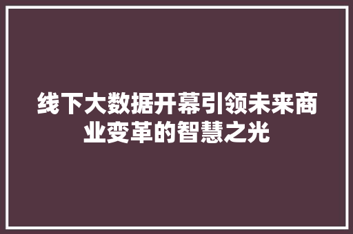线下大数据开幕引领未来商业变革的智慧之光