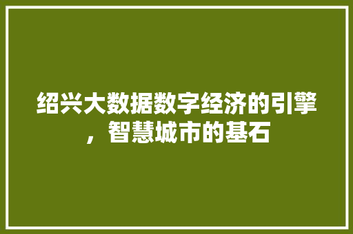 绍兴大数据数字经济的引擎，智慧城市的基石