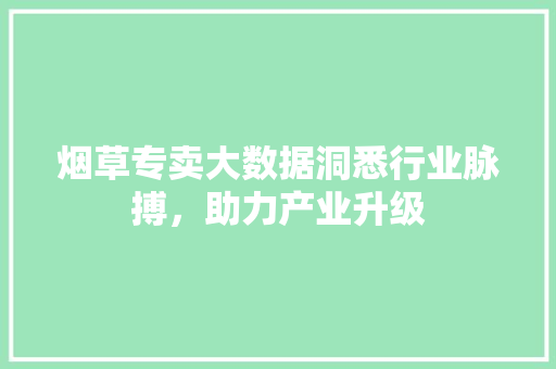 烟草专卖大数据洞悉行业脉搏，助力产业升级