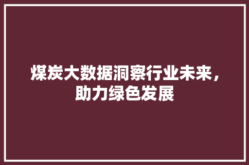 煤炭大数据洞察行业未来，助力绿色发展
