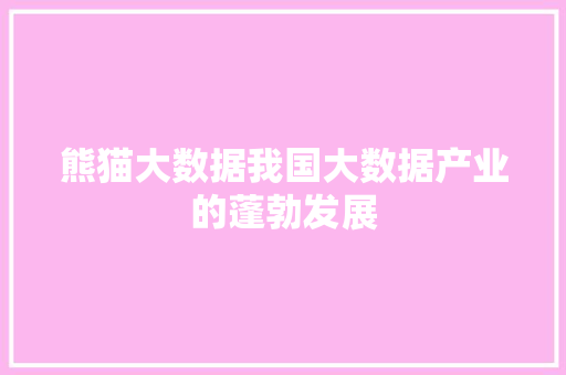 熊猫大数据我国大数据产业的蓬勃发展