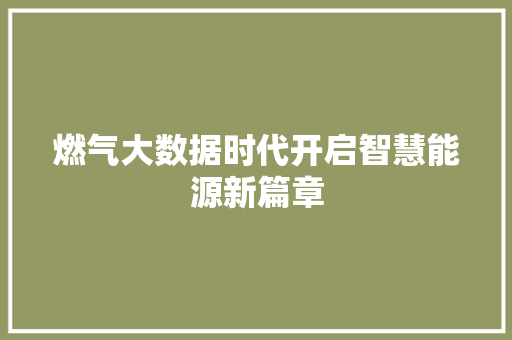燃气大数据时代开启智慧能源新篇章
