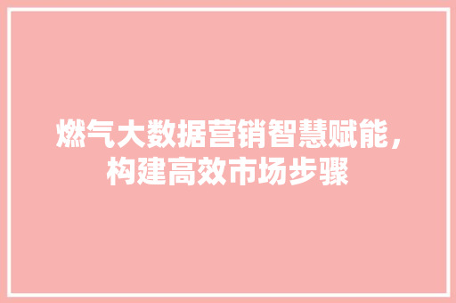 燃气大数据营销智慧赋能，构建高效市场步骤