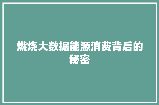 燃烧大数据能源消费背后的秘密
