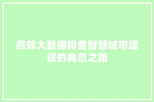 燕郊大数据排查智慧城市建设的典范之路
