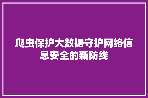 爬虫保护大数据守护网络信息安全的新防线