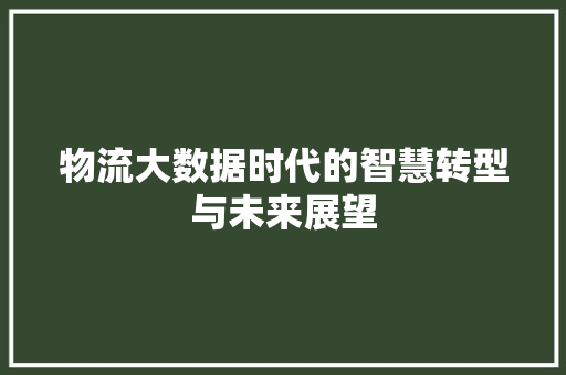 物流大数据时代的智慧转型与未来展望