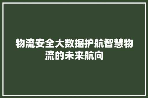物流安全大数据护航智慧物流的未来航向