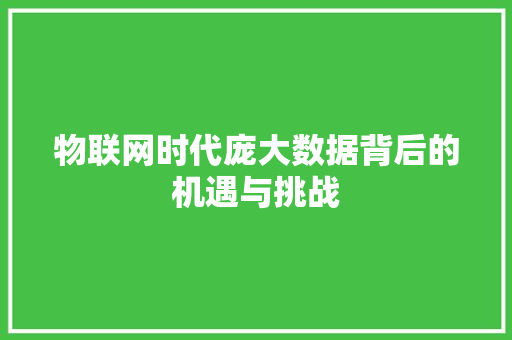 物联网时代庞大数据背后的机遇与挑战