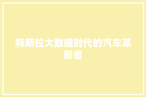 特斯拉大数据时代的汽车革新者