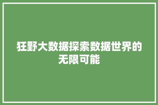 狂野大数据探索数据世界的无限可能