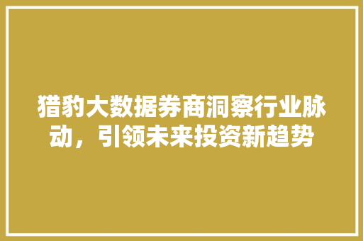 猎豹大数据券商洞察行业脉动，引领未来投资新趋势