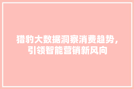 猎豹大数据洞察消费趋势，引领智能营销新风向