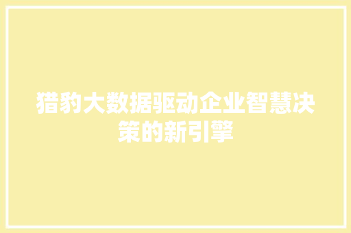 猎豹大数据驱动企业智慧决策的新引擎
