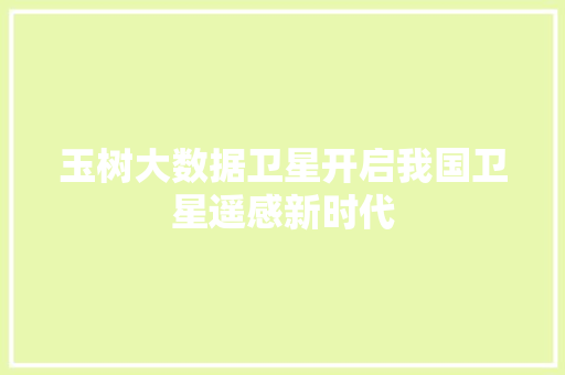 玉树大数据卫星开启我国卫星遥感新时代