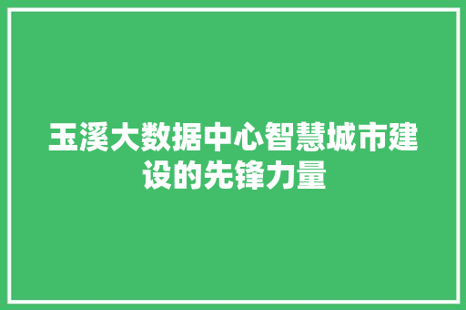 玉溪大数据中心智慧城市建设的先锋力量