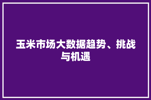 玉米市场大数据趋势、挑战与机遇