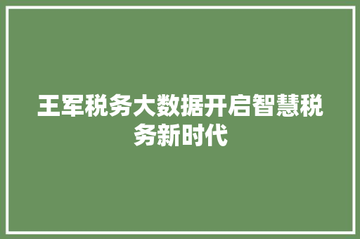 王军税务大数据开启智慧税务新时代